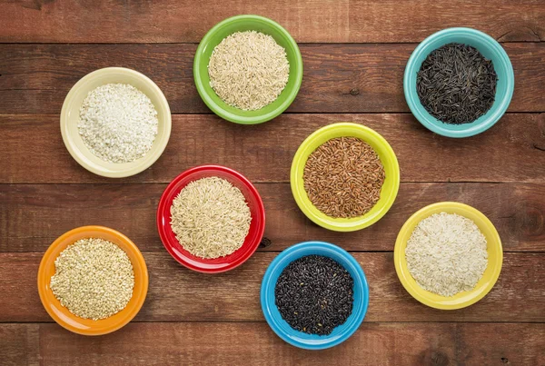 Variedad de granos de arroz — Foto de Stock