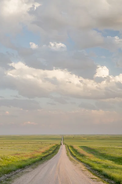 Rural road in Colorado grassland — Stock fotografie