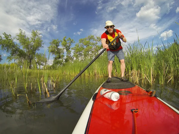 Levantarse remando (SUP) en el lago —  Fotos de Stock