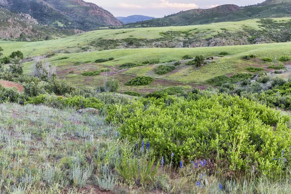 Valle de las Montañas Rocosas al atardecer — Foto de Stock