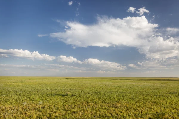 Pradaria de grama curta no Colorado — Fotografia de Stock