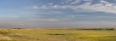 Colorado çayır panorama