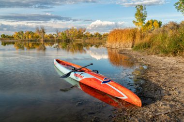Fort Collins, CO, ABD - 7 Ekim 2021: Flatwater Racing stand up paddleboard (17.6 'Mistral Stealth) with a paddle on a lake shore in a fall scape of nortehrn Colorado.