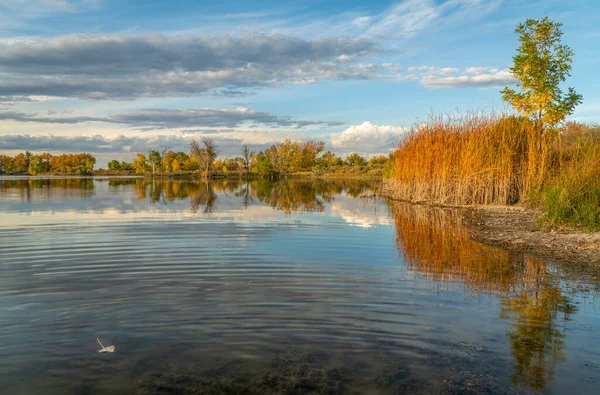 Lugna Sjön Vid Solnedgången Fort Collins Naturområden Norra Colorado Hösten — Stockfoto