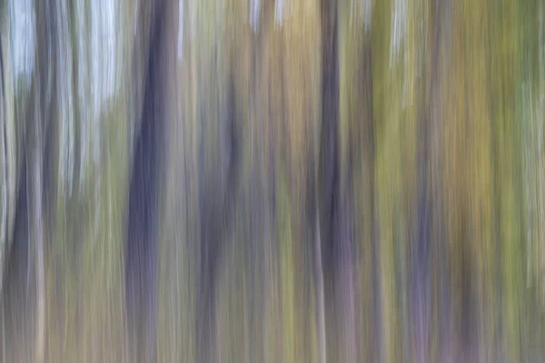 Natuur Beweging Vervaging Abstract Pastelkleuren Bos Herfstkleuren — Stockfoto