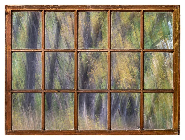 Blurred Landscape Forest Fall Colors Seen Vintage Sash Window — Stock Photo, Image