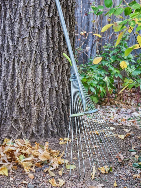 Rastrello Foglia Giardino Regolabile Concetto Lavoro Cortile Caduta — Foto Stock