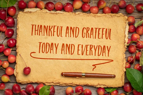 感恩与感恩 今天和每天 感恩节的励志标语 用红蟹苹果框的手工造纸笔迹 — 图库照片