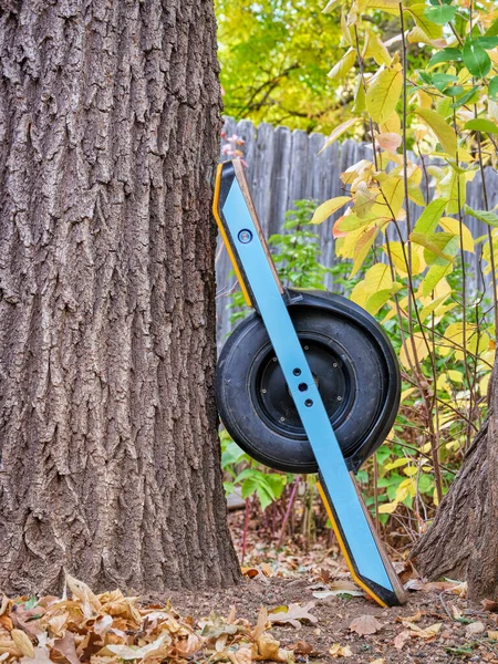 one-wheeled electric skateboard in a backyard or park in fall scenery
