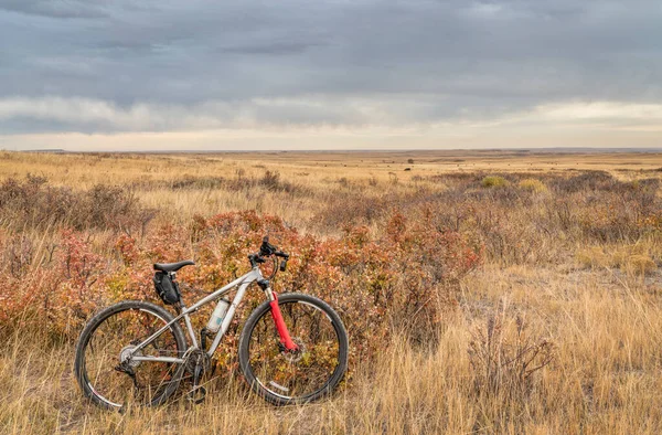 コロラド州の1つのトラックトレイルでマウンテンバイク草原 10月下旬に最後の秋の色を持つ石積みプレーリー自然地域 — ストック写真
