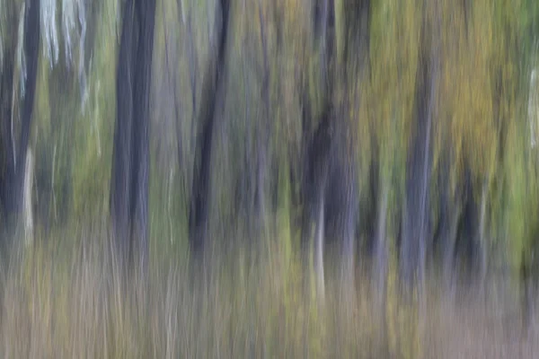 Natuur Bewegingsvervaging Abstract Pastelkleuren Bossen Herfst — Stockfoto