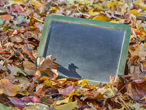 Blank Retro Skiffer Svart Tavla Med Färgglada Torra Blad Bakgård — Stockfoto