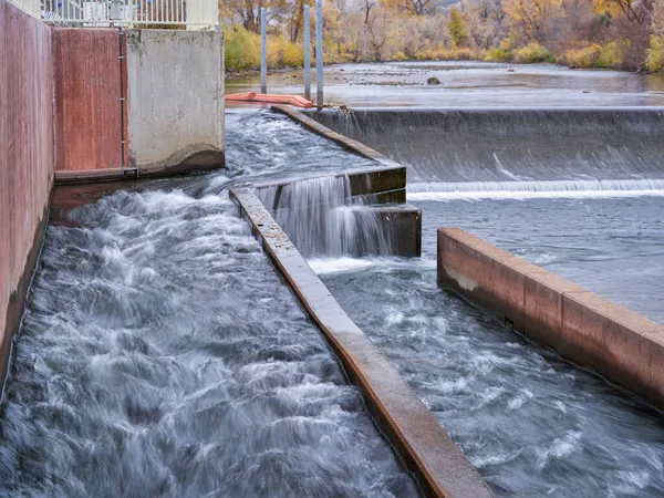 Fish Ladder Water Diversion Dam Watson Lake Dam Poudre River — Stock Photo, Image