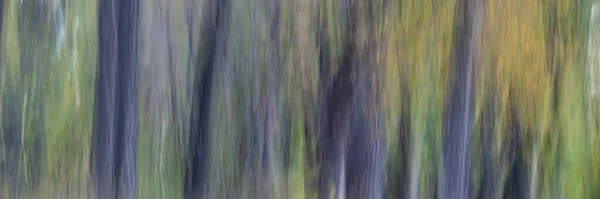 Nature Motion Blur Abstract Pastel Colors Trees Fall Panoramic Web — Stock Photo, Image