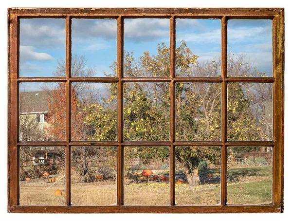 Пейзаж Житлового Району Півночі Колорадо Лугом Старим Яблуком Гарбузами Далеким — стокове фото
