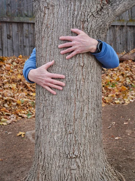 人类在后院抱着一棵树 自然联系与环境概念 — 图库照片