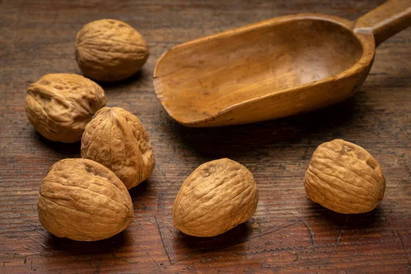 Nueces Inglesas Una Cucharada Madera Rústica Contra Superficie Madera Envejecida — Foto de Stock