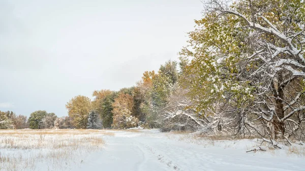 Mattina Con Neve Fresca Colori Autunnali Lungo Fiume Poudre Fort — Foto Stock