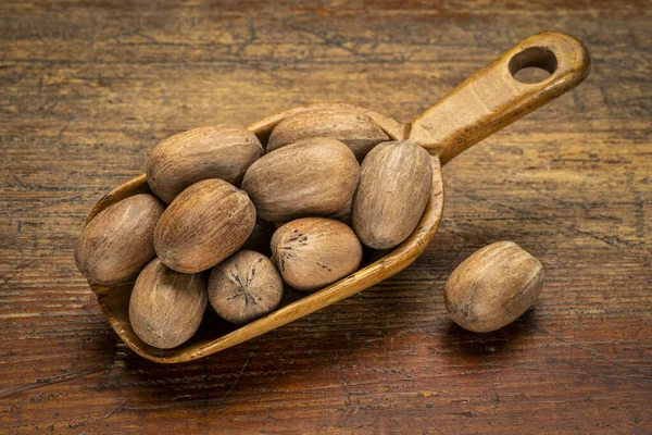Rustic Scoop Pecan Nuts Shells Grunge Wood Table — Stock Photo, Image