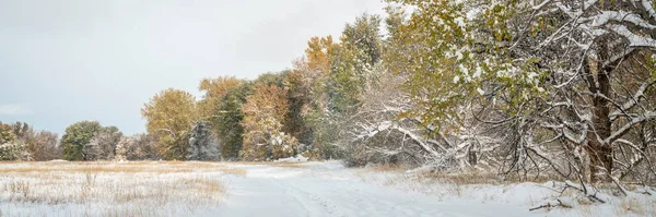 Mattina Con Neve Fresca Colori Autunnali Lungo Fiume Poudre Fort — Foto Stock