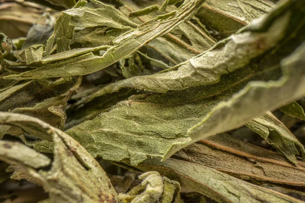 Stevia Getrocknete Blätter Natürlicher Süßstoff Zuckerersatz Makroaufnahme Mit Einer Sondenlinse — Stockfoto