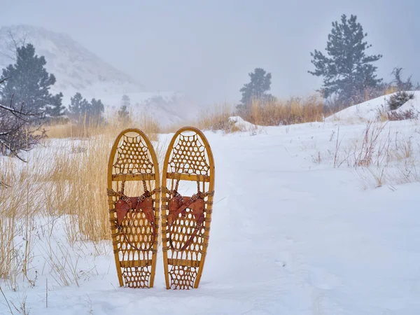Classic Bear Paw Wooden Snowshoes Heavy Winter Snow Trail Colorado — Photo