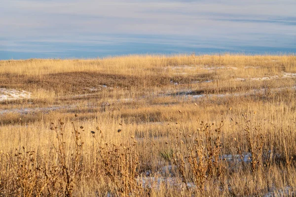 Torrt Gräs Och Tistel Vinter Solnedgång Landskap Vid Colorado Foten — Stockfoto