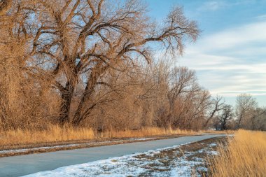 Fort Collins, Colorado 'daki Poudre nehri boyunca gün batımında sonbahar ya da kış manzarası
