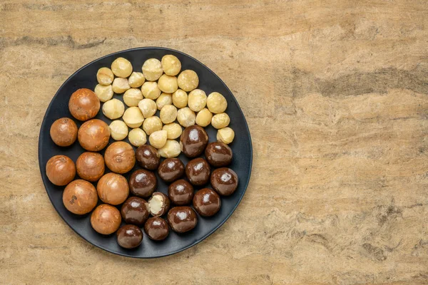 Macadamia Nuts Shells Shelled Dipped Dark Chocolate Black Plate Buckskin — Stock Photo, Image
