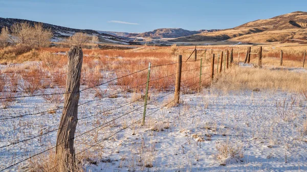 Ogrodzenie Drutu Kolczastego Bydła Kolorado Podnóża Gór Skalistych Zimowa Sceneria — Zdjęcie stockowe