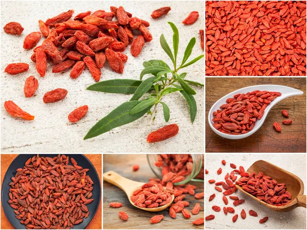 Goji Berry Picture Collage Superfood Concept All Pictures Copyright Photographer — Stock Photo, Image