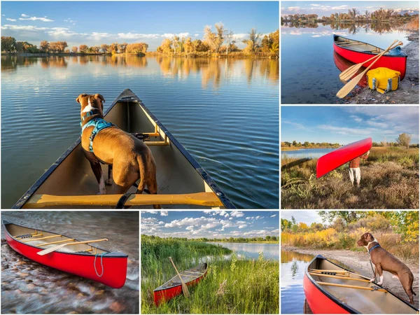 Canoa Pagaiare Ricreazione Con Cane Una Serie Immagini Laghi Fiumi — Foto Stock