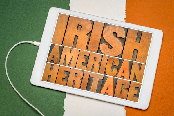 Herencia Irlandesa Americana Palabra Abstracta Tipografía Vintage Tipo Madera Una —  Fotos de Stock