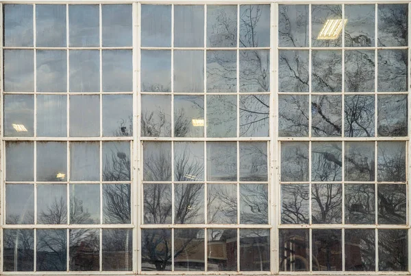 External View Large Industrial Sash Window Panel Reflections Trees Building — Stock Photo, Image