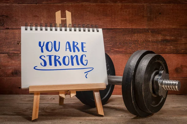 Bent Een Sterke Positieve Bevestiging Een Klein Ezel Bord Met — Stockfoto