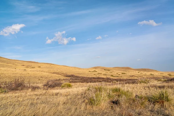 Cumulus Och Cirrusmoln Över Gräsmark Norra Colorado Tidigt Våren Landskap — Stockfoto