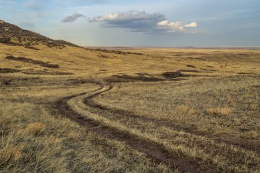 dirt ranch road in grassland in northern Colorado, early spring scenery of Soapstone Prairie Natural Area near Fort Collins clipart