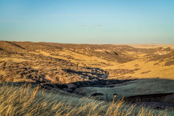 Valle Pastizales Norte Colorado Paisaje Primavera Temprana Soapstone Prairie Natural —  Fotos de Stock