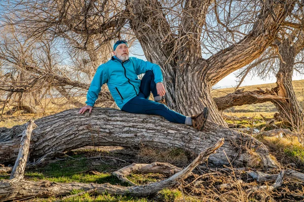 Senior Male Hiker Cyclist Taking Rest Fallen Tree Colorado Prairie — стоковое фото