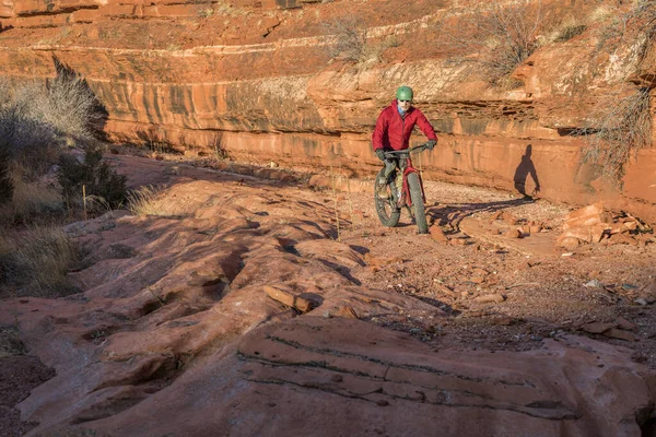 Montar Una Bicicleta Montaña Gorda Slickrock Fondo Del Cañón Arenisca — Foto de Stock