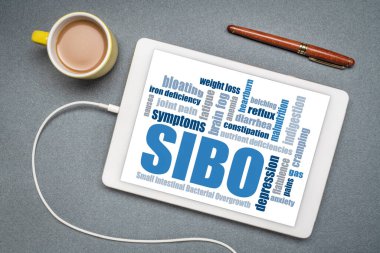 SIBO (ince bağırsak bakteriyel aşırı büyüme) belirtileri - dijital tablette kelime bulut, bir fincan kahve ile düz uzanma, mide sağlığı konsepti