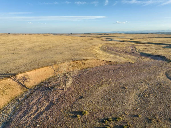 Early Spring Colorado Prairie Aerial View Grassland Meandering Dry Stream — Fotografia de Stock
