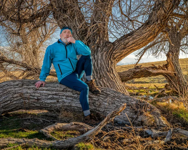 Senior Male Hiker Cyclist Taking Rest Contemplating Fallen Tree Colorado — стоковое фото