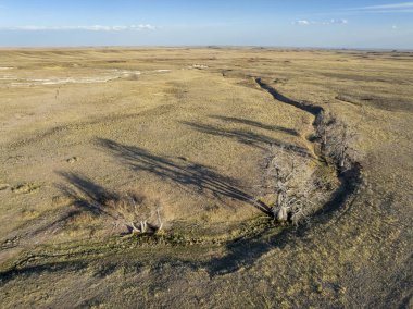 Colorado ovasında bir dere kenarındaki ağaçlar - ilkbahar havası manzarası
