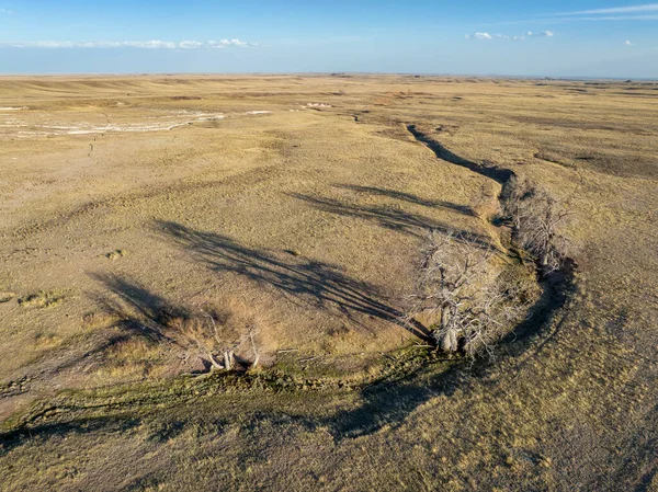 Trees Stream Colorado Prairie Early Spring Aerial View — Stock Photo, Image