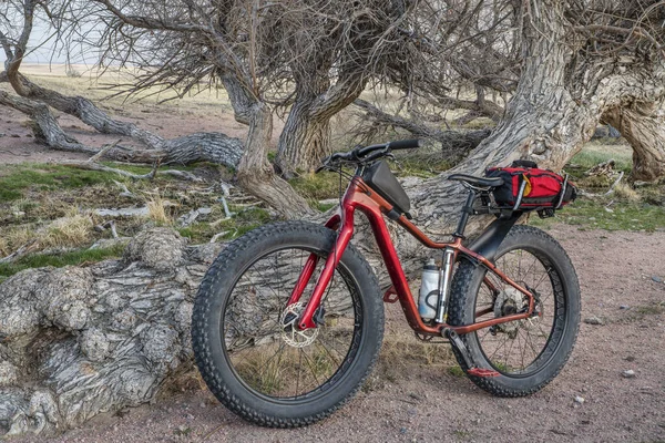 Radtour Der Prärie Von Colorado Fettes Mountainbike Mit Rahmen Und — Stockfoto