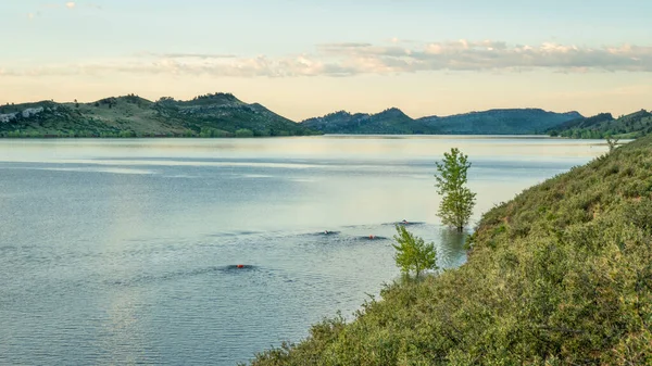 穏やかな湖の上で泳ぐブイを持つオープンウォータースイマー日の出の夏の朝のワークアウト — ストック写真