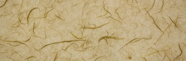 Background Light Brown Backlit Handmade Mulberry Paper Fibe Inclusions Panoramic — Stockfoto