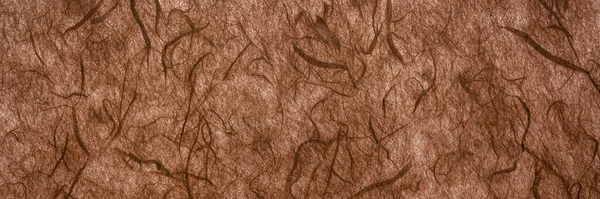 Background Dark Brown Backlit Handmade Mulberry Paper Fiber Inclusions Panoramic — Photo