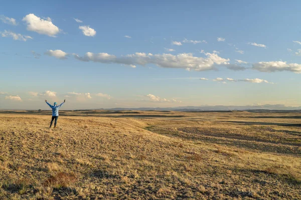 Prairie Het Noorden Van Colorado Bij Zonsondergang Met Een Eenzame — Stockfoto